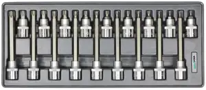 Набір головок зі вставкою Torx 1/2" Т20-Т60 18од ложемент